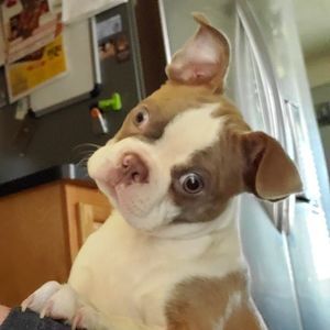 Meet your Posher, Jeff